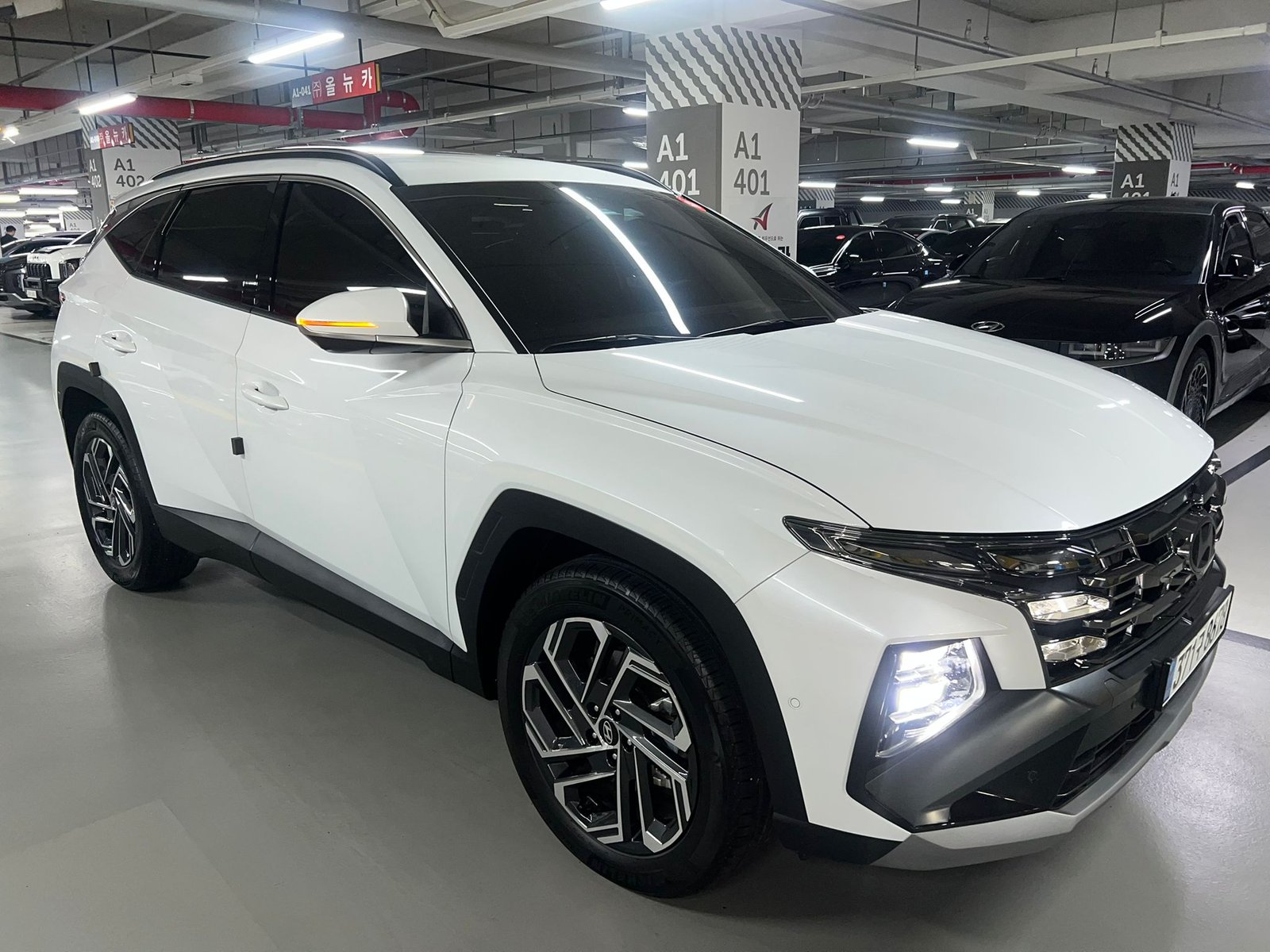 WhatsApp Image 2026-02-03 at 22.43.34